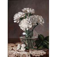 White Carnations